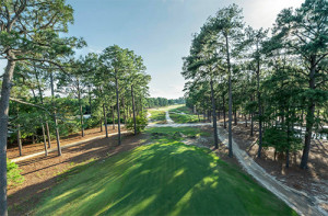 Courses | Pinehurst No. 2