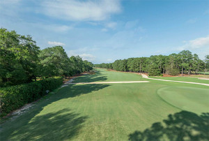 Courses | Pinehurst No. 2