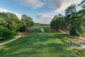 Courses | Pinehurst No. 2